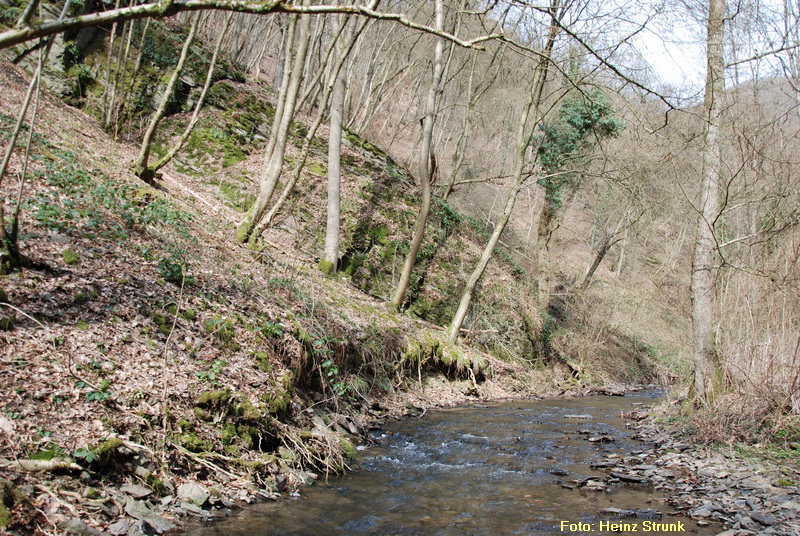 Fockenbachtal