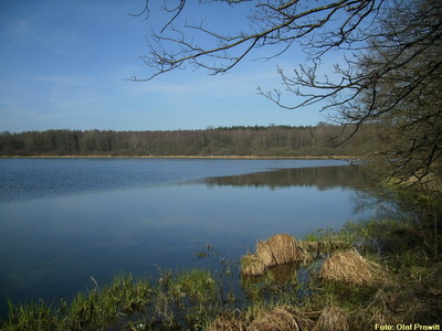 Haidenweiher