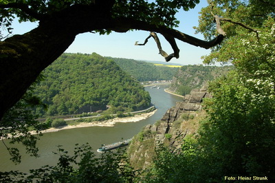 Oberes Mittelrheintal (Spitznack und Loreley)