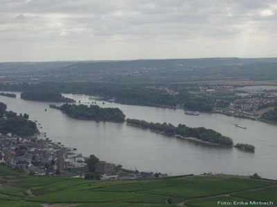 Inselrhein bei Rüdesheim