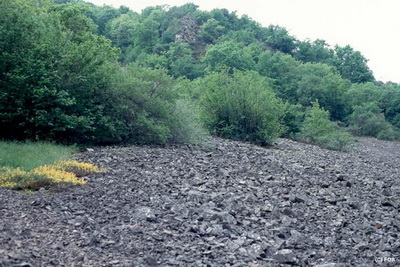 Hellberg bei Kirn