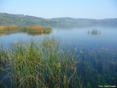 Laacher See (mesotroph)